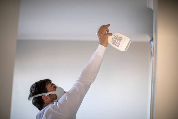 Best Mold Testing  in Hico, TX