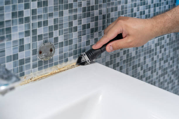 Best Residential Mold Removal  in Hico, TX